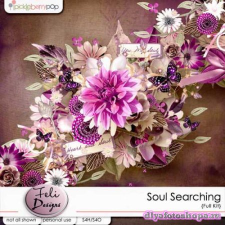  - - Soul Searching 