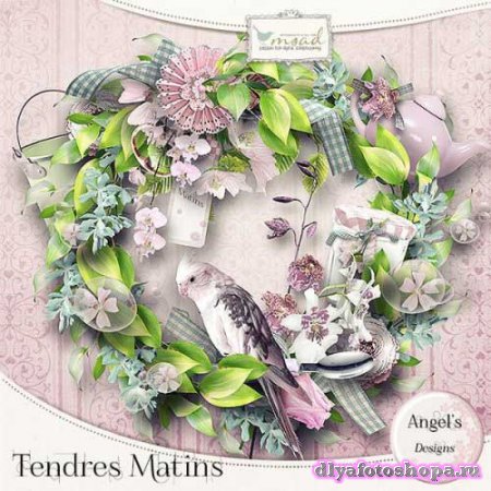  - - Tendres Matins 