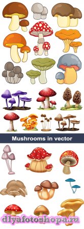    | Vector clipart Mushrooms