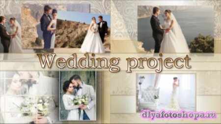 Wedding project-  ProShow Producer