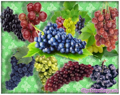 Картинки на прозрачном фоне - Спелый виноград