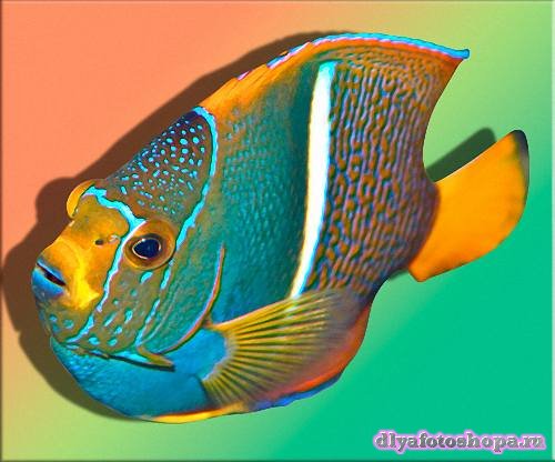 Клипарты Png на прозрачном фоне -  Дикоративные рыбки