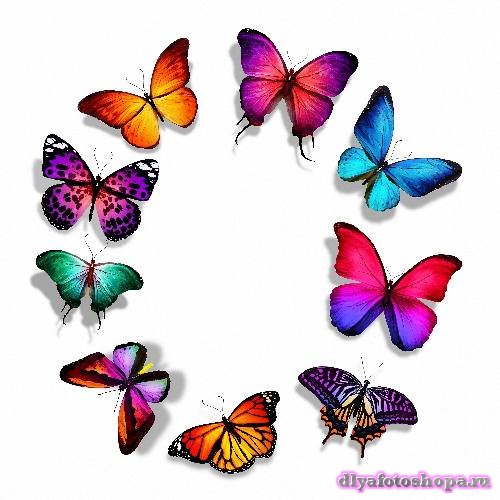 Png для клипартов - Цветные бабочки