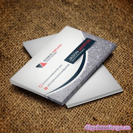Silver line - business card